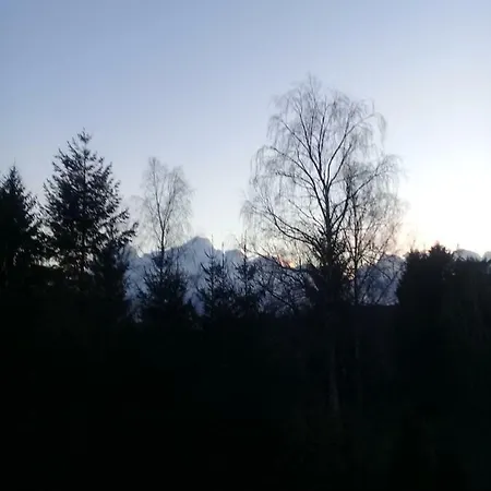 Am Birkenhain *