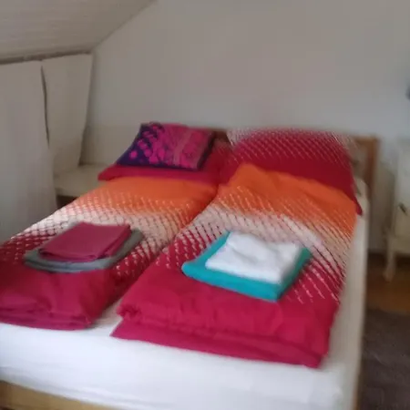 Am Birkenhain منزل للإقامة